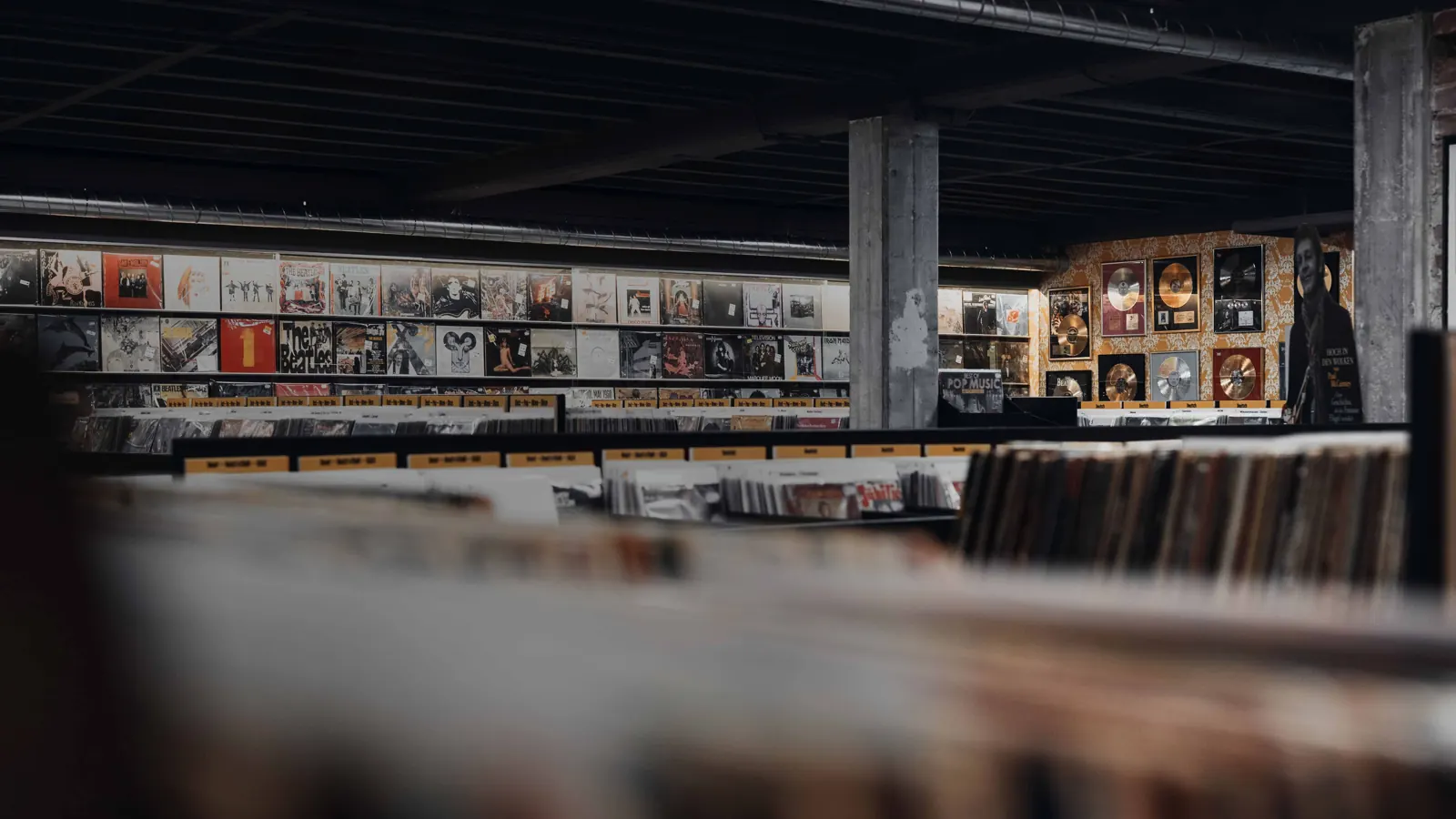 Lange Reihen mit Plattenkisten und Wandregalen voller Schallplatten im Vinylkeller