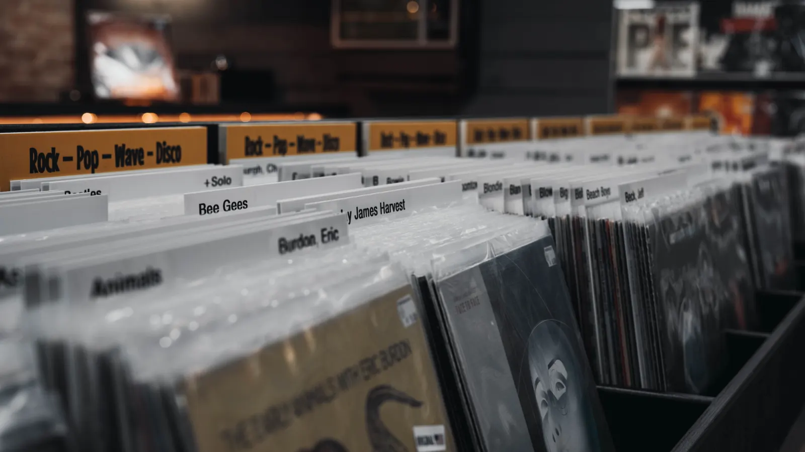 Plattenfächer mit Trennschildern wie Rock, Pop, Wave und Disco